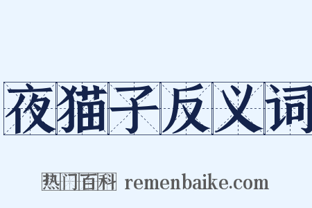 夜猫子反义词是什么意思的图片